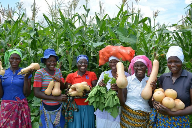 Through the Productive Assets Creation Programme (PAC), WFP in Zimbabwe supported 95,000 people in 2016 through the rehabilitation or creation of community assets, such as water harvesting systems. Photo courtesy of WFP.