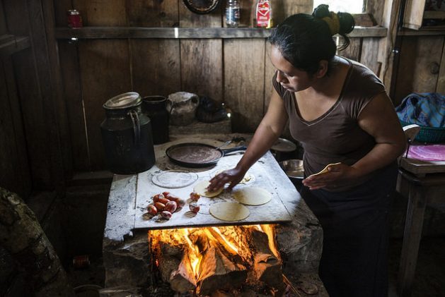 In Latin America, 8.4% of women are in a situation of severe food insecurity, compared to 6.9% of men. In ten countries, 20% of the poorest children suffer three times more chronic malnutrition than the richest 20%. Indigenous populations suffer greater food insecurity than non-indigenous people, and rural populations have higher rates of poverty than urban ones.