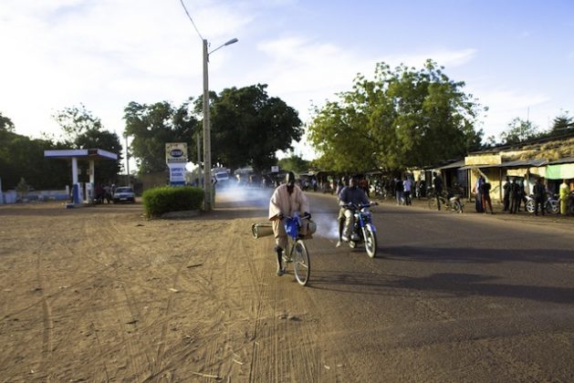 The Western Sahel has been in the grip of a security crisis since 2012, when Tuareg rebels in Mali grouped together in an attempt to administer a new northern state called Azawad. Credit: Marc-André Boisvert/IPS